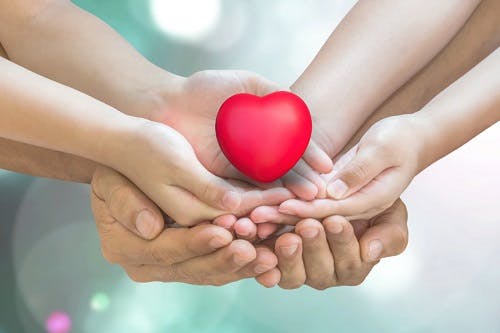 Whole Life Insurance